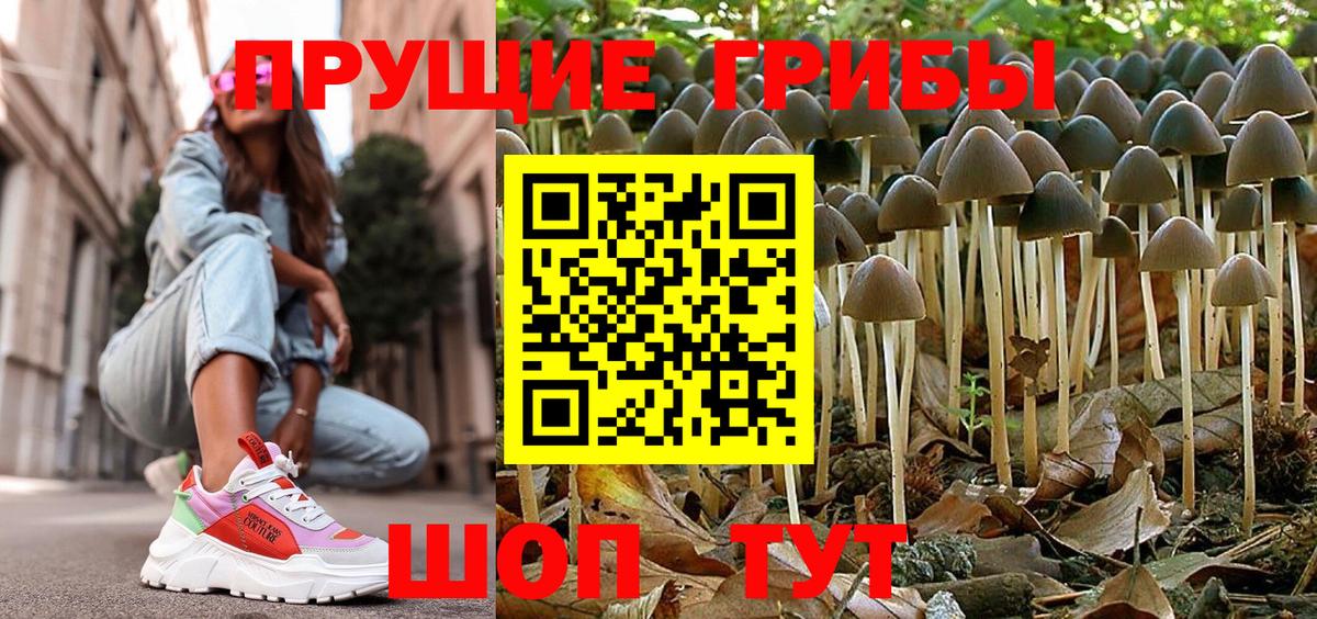 Конопля  Вход с VPN  Меф   Куйбышев  ГАШИШ  Cocaine 