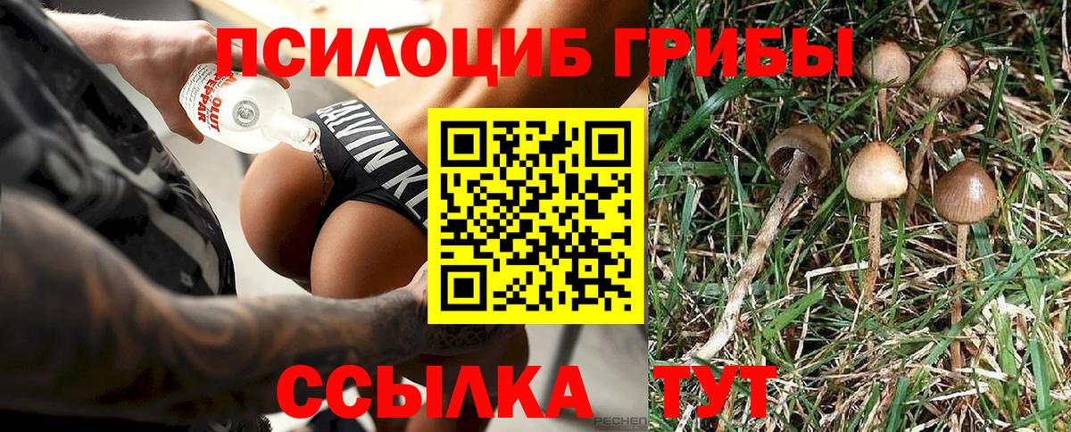 Куйбышев  Псилоцибиновые грибы Magic Shrooms  Вход с VPN 